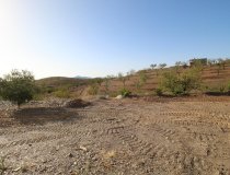 Resale - Country House -
Zarzalico