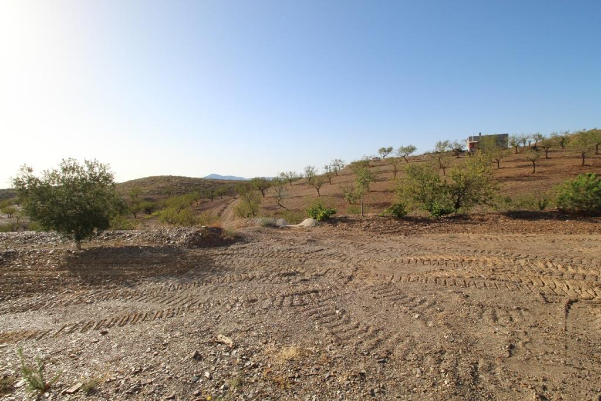 Resale - Country House -
Zarzalico