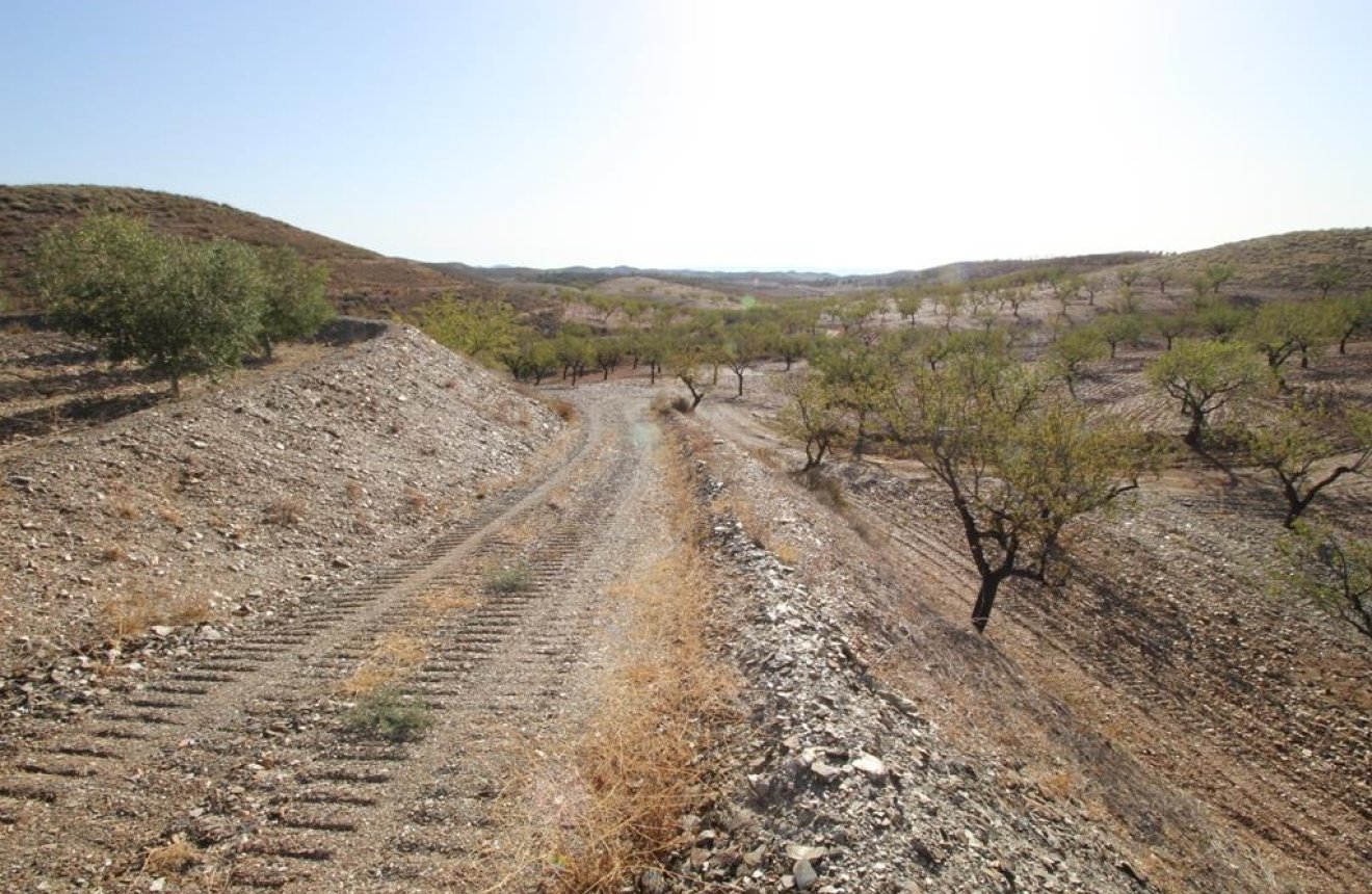 Resale - Country House -
Zarzalico