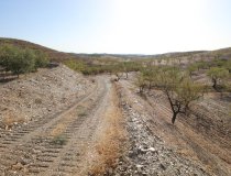 Resale - Country House -
Zarzalico