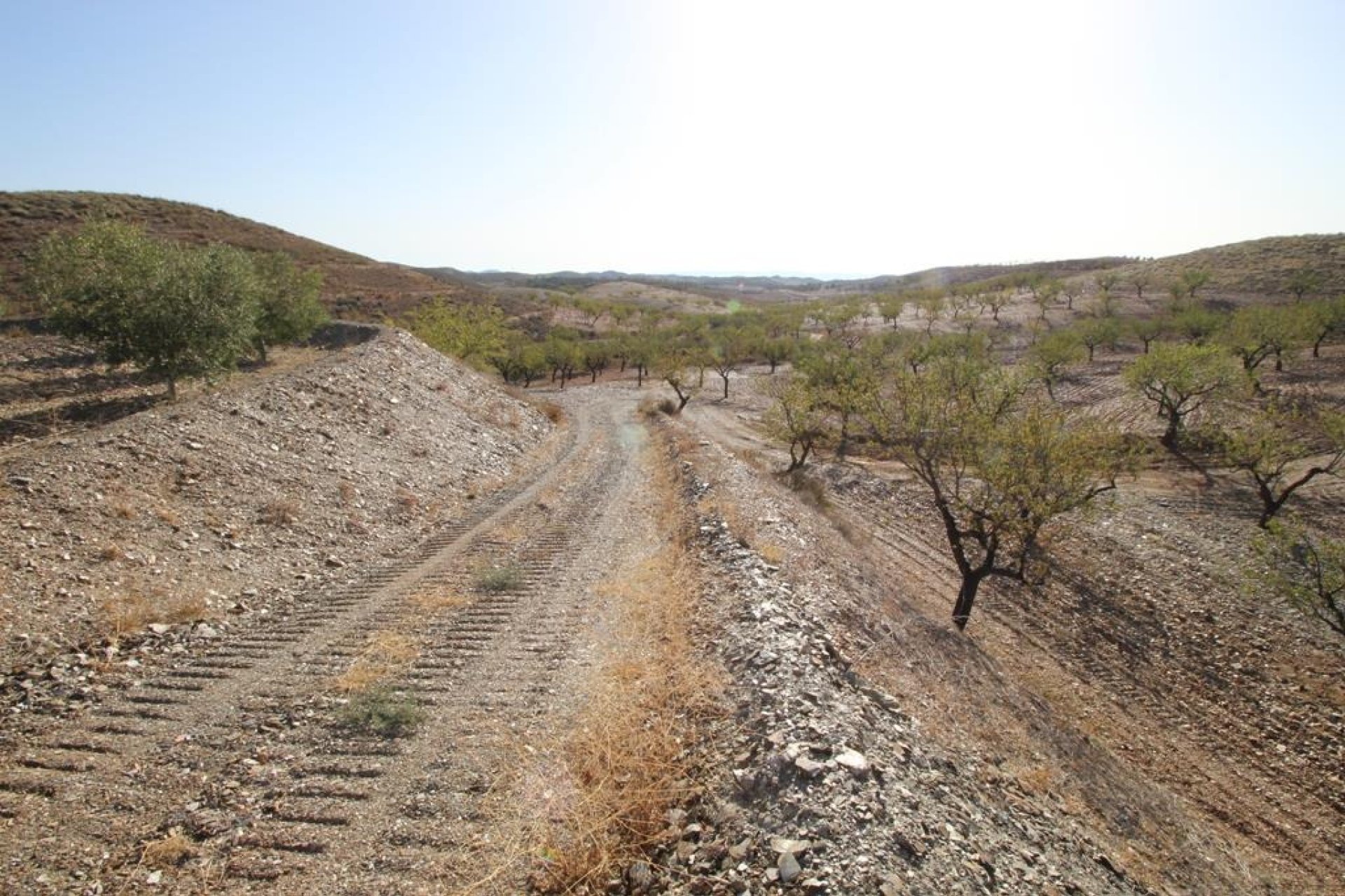 Resale - Country House -
Zarzalico