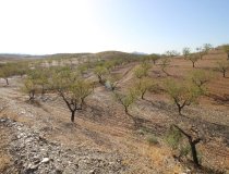 Resale - Country House -
Zarzalico