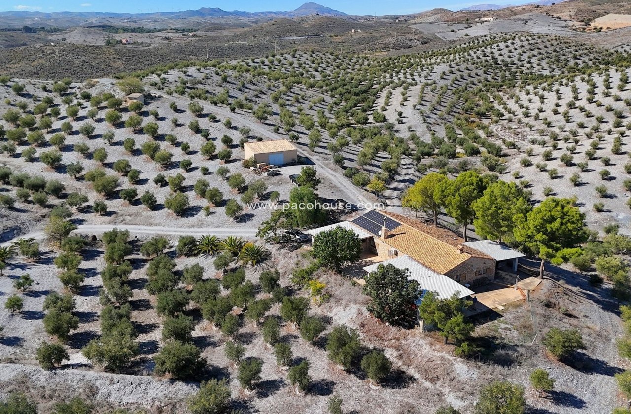 Resale - Country House -
Zarzalico