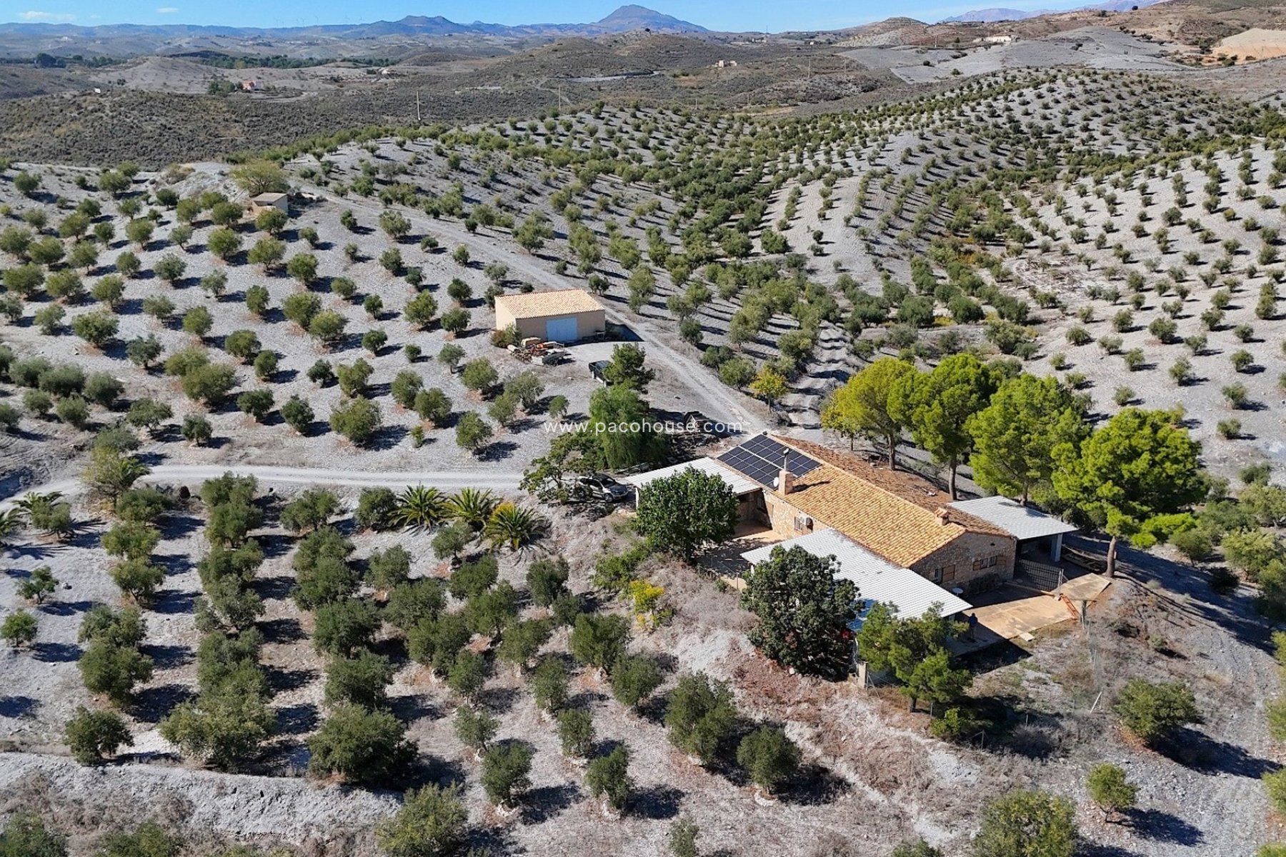 Resale - Country House -
Zarzalico