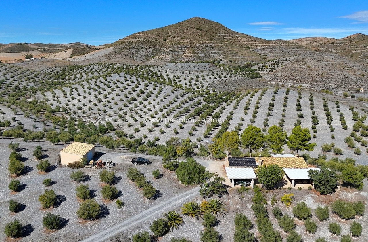 Resale - Country House -
Zarzalico