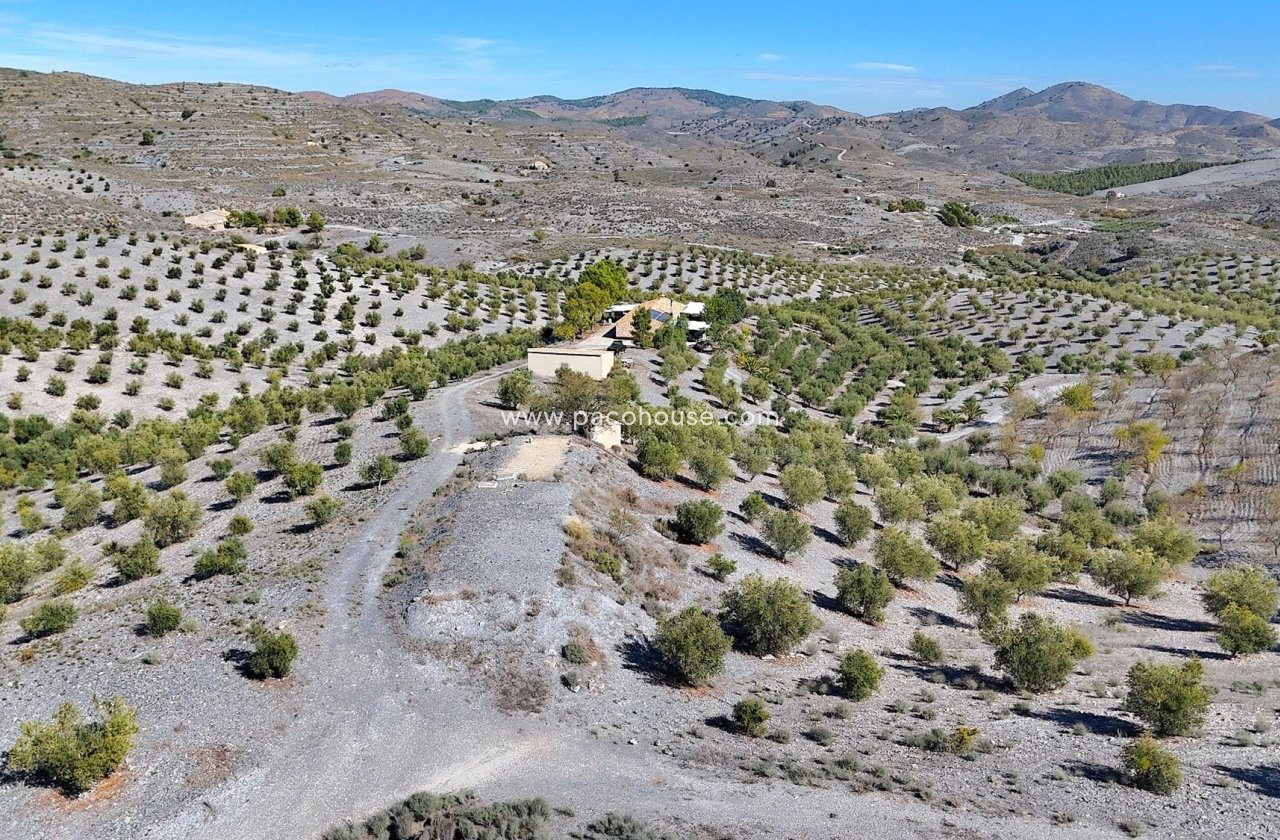 Resale - Country House -
Zarzalico