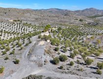 Resale - Country House -
Zarzalico