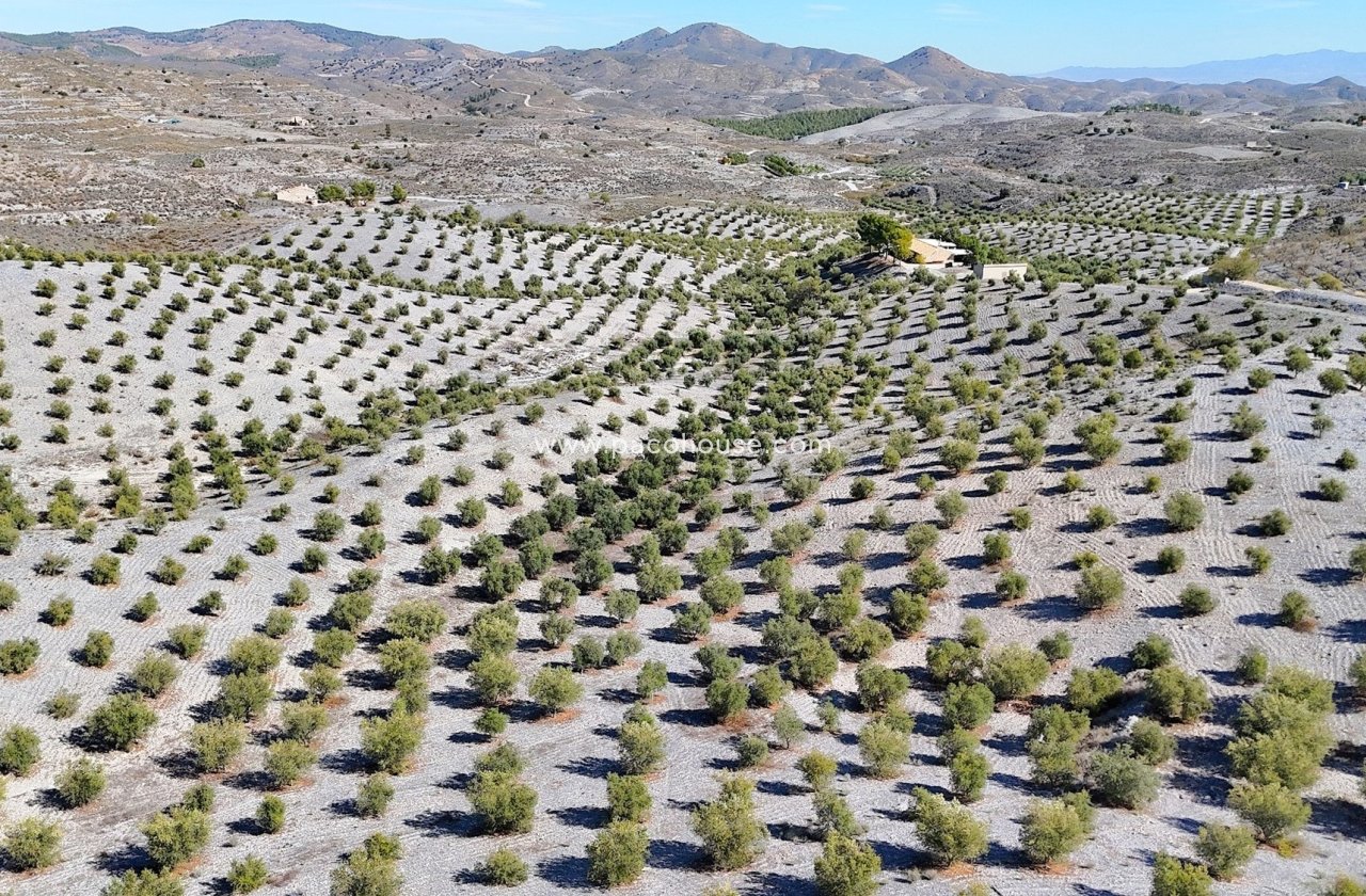 Resale - Country House -
Zarzalico