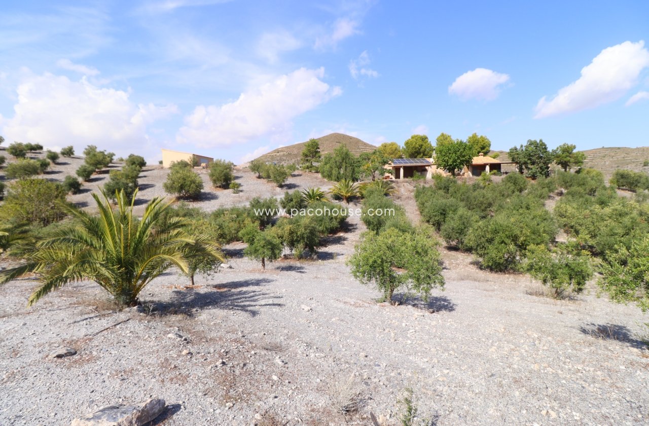 Resale - Country House -
Zarzalico