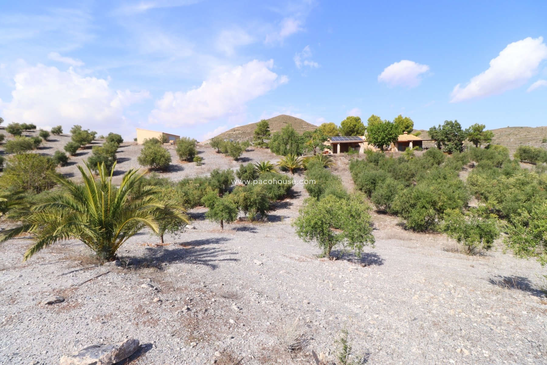 Resale - Country House -
Zarzalico