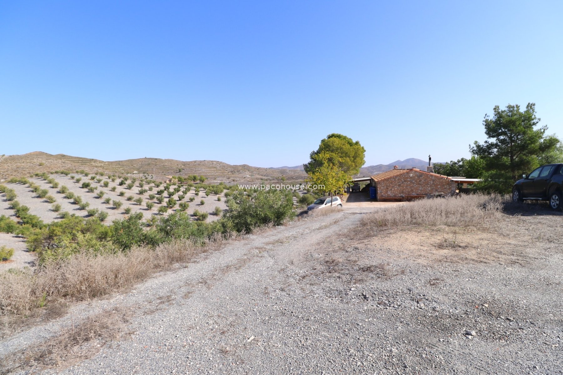 Resale - Country House -
Zarzalico