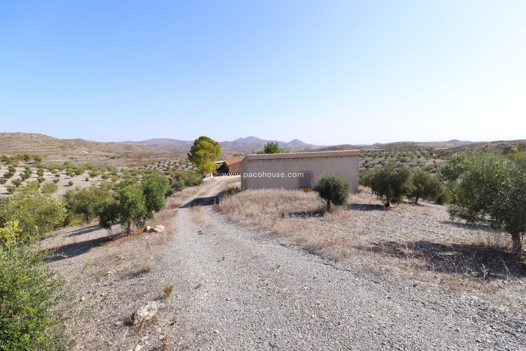 Resale - Country House -
Zarzalico