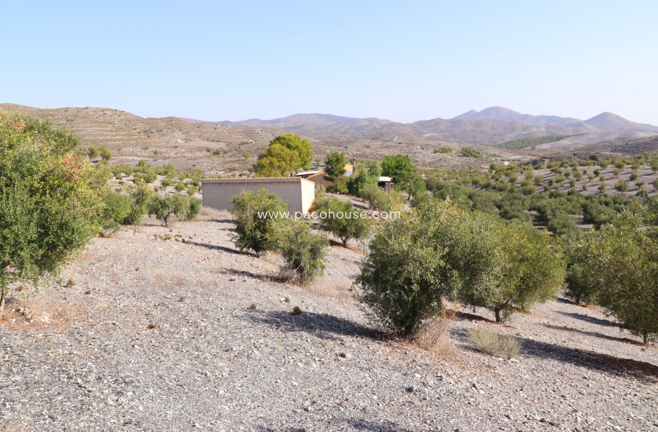 Resale - Country House -
Zarzalico