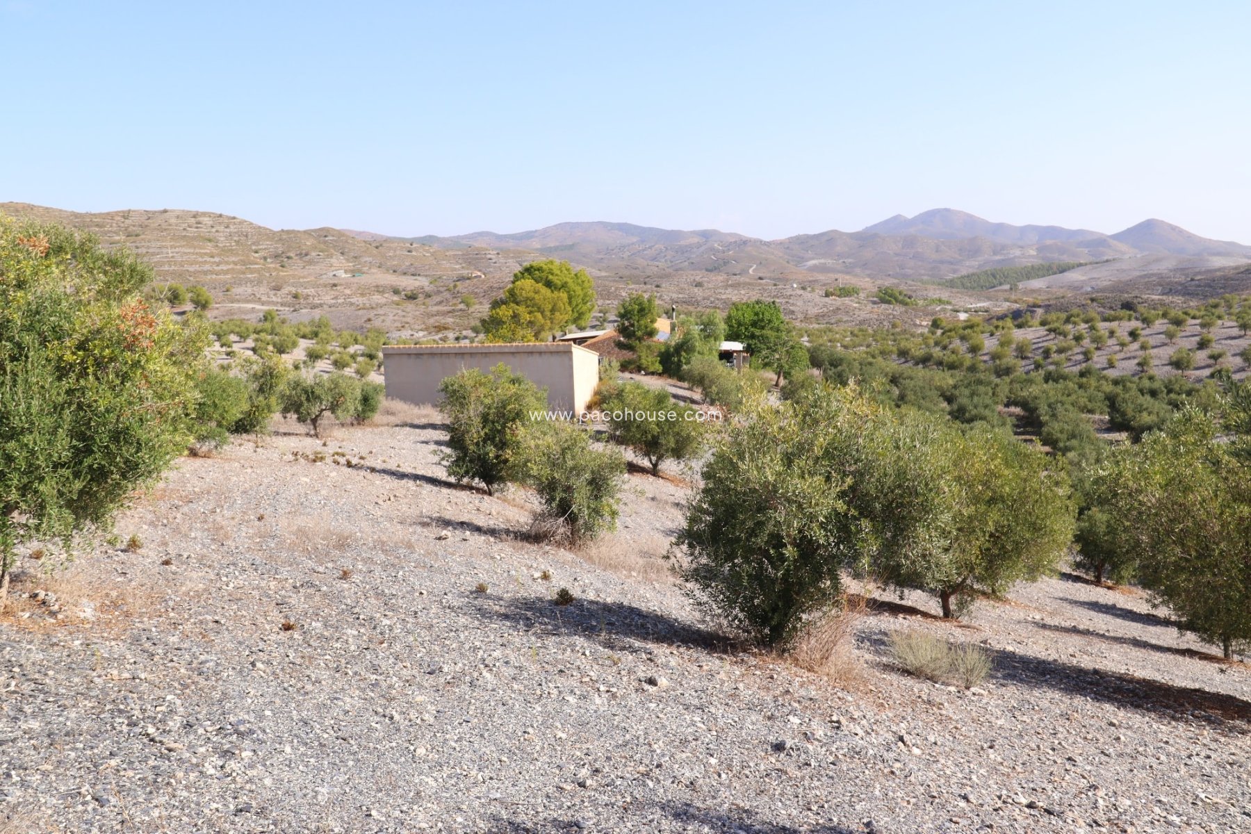 Resale - Country House -
Zarzalico