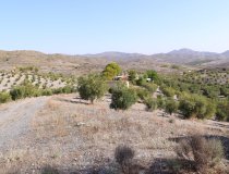 Resale - Country House -
Zarzalico