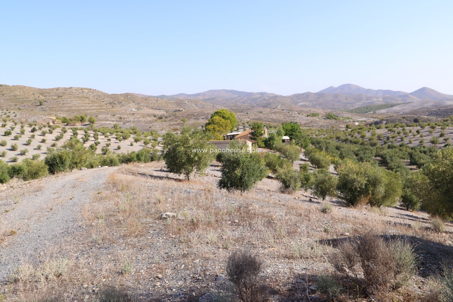 Resale - Country House -
Zarzalico