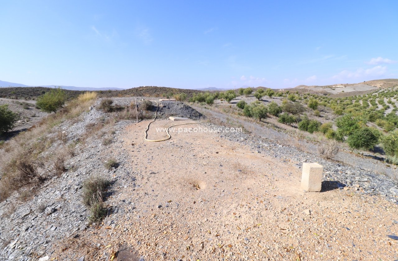 Resale - Country House -
Zarzalico