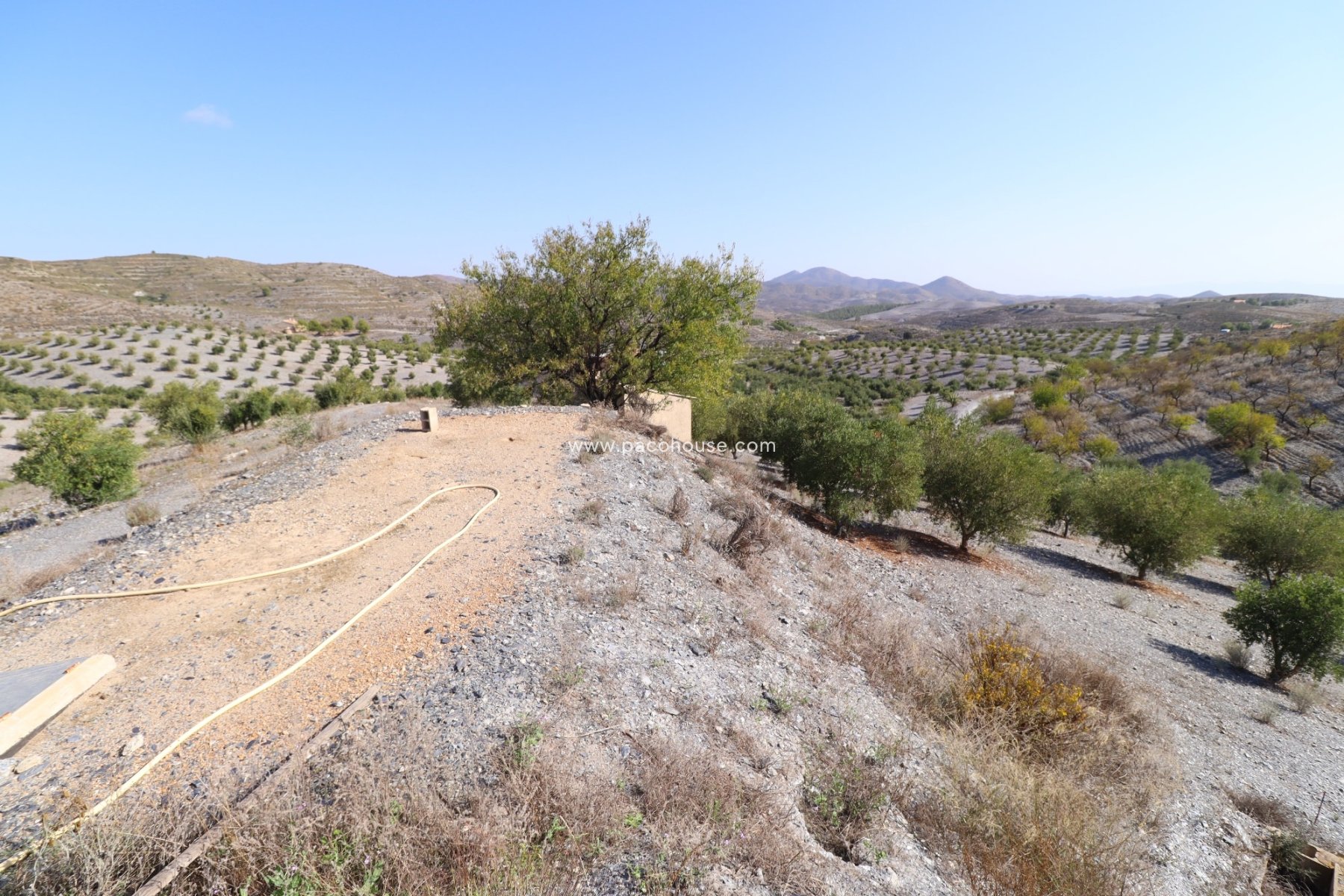 Resale - Country House -
Zarzalico