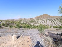 Resale - Country House -
Zarzalico