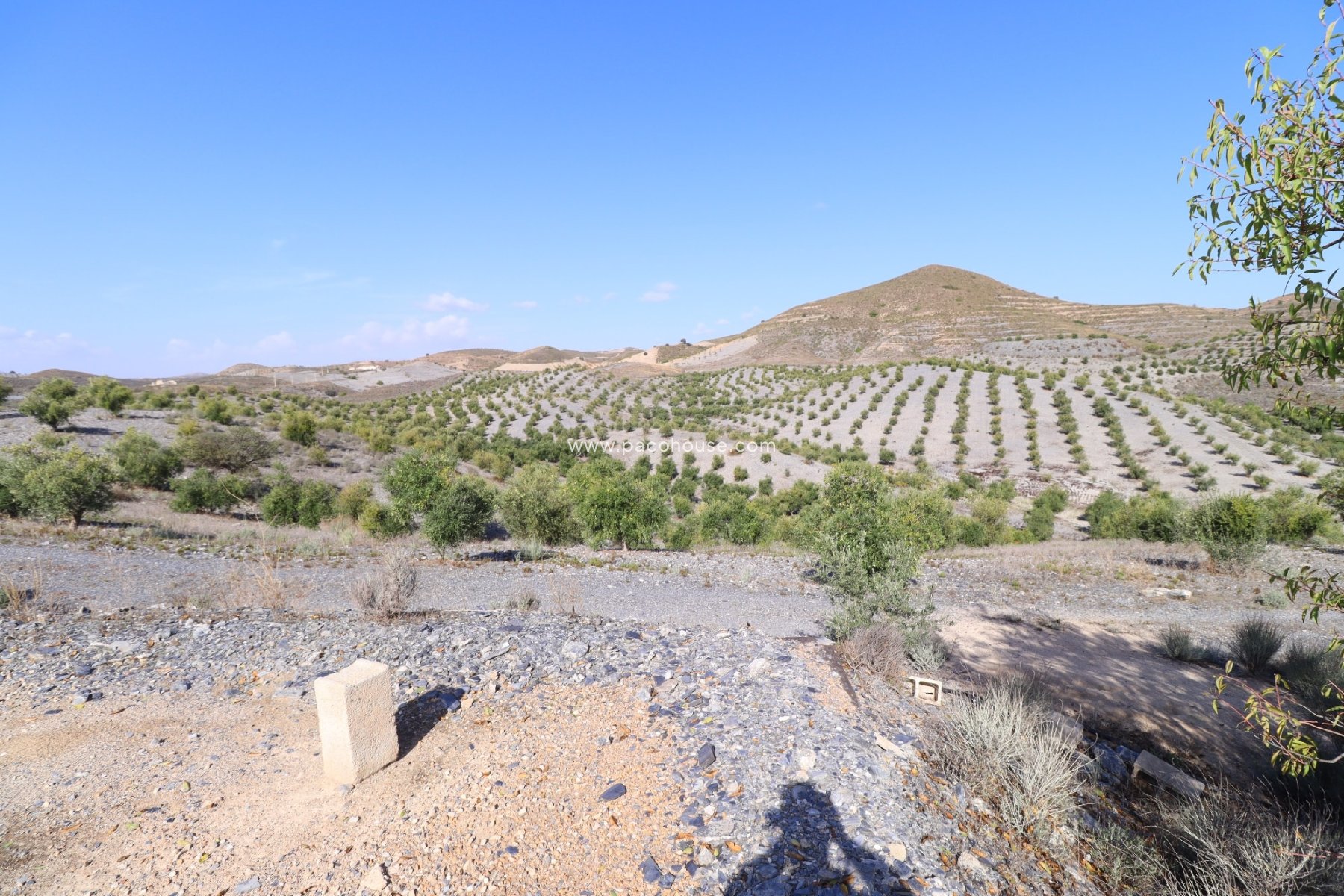 Resale - Country House -
Zarzalico