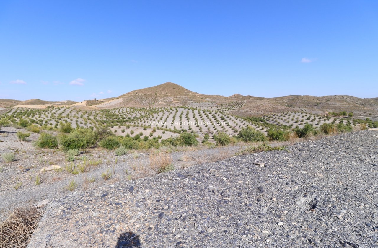 Resale - Country House -
Zarzalico