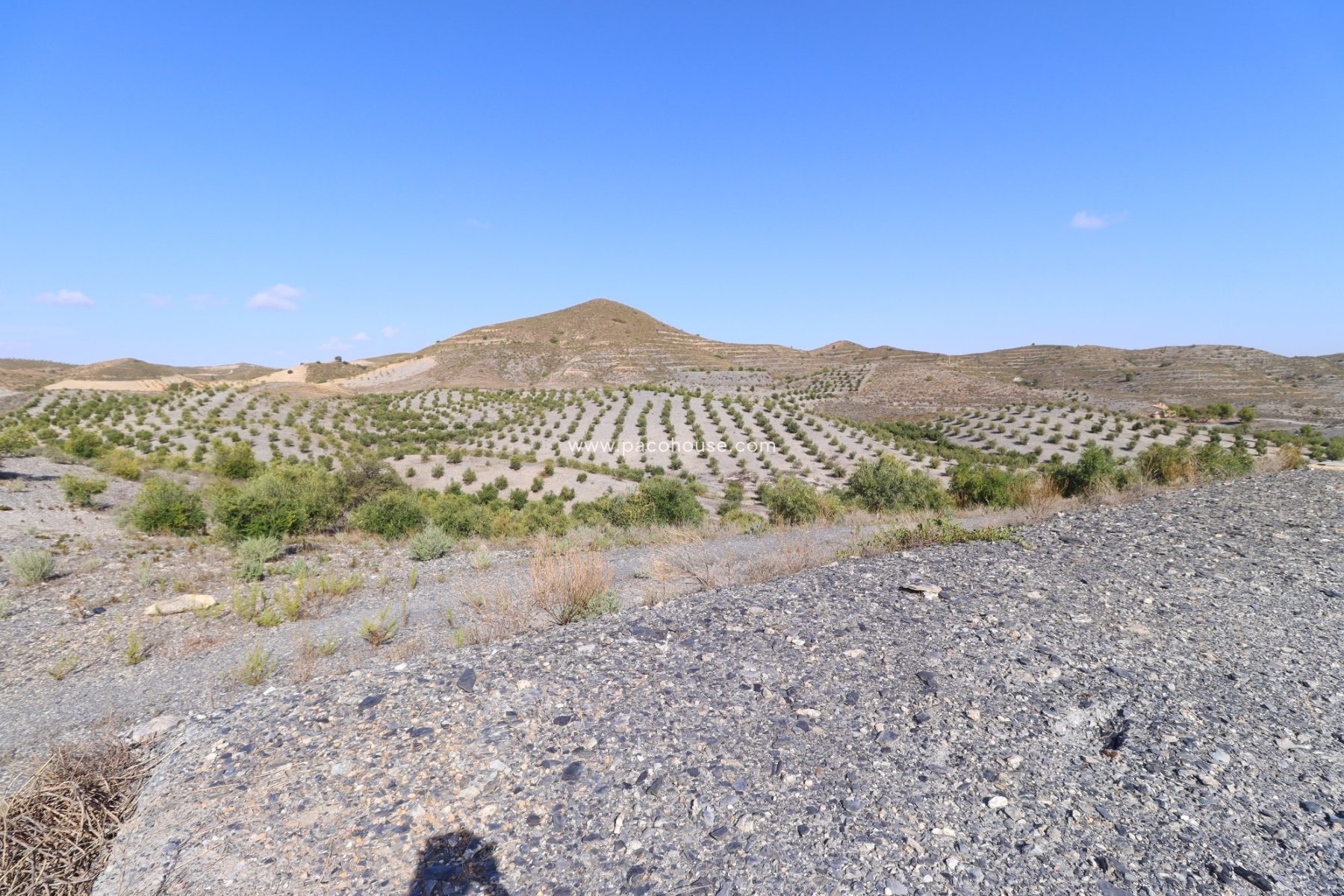 Resale - Country House -
Zarzalico