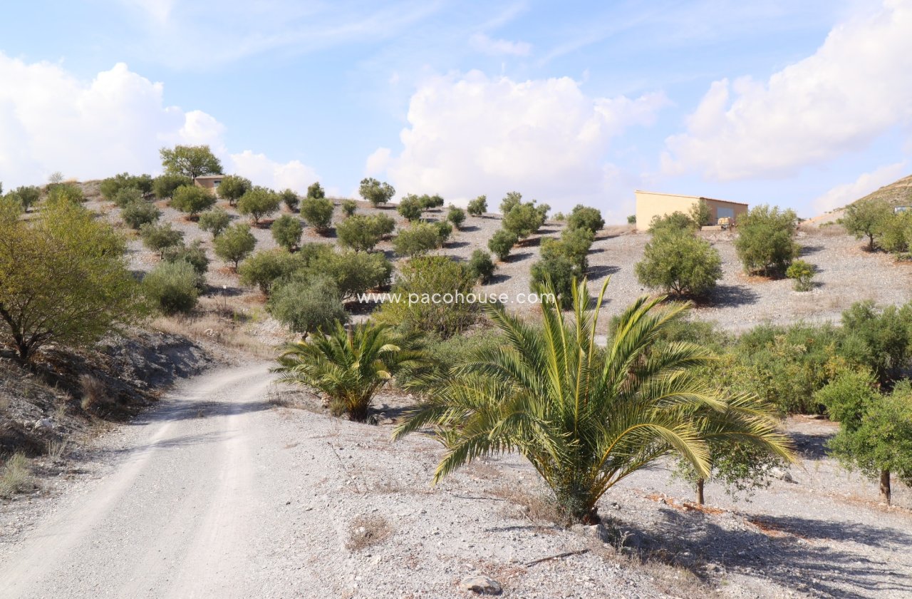 Resale - Country House -
Zarzalico