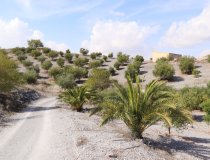 Resale - Country House -
Zarzalico