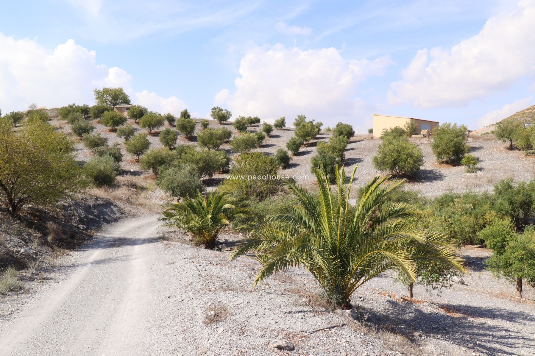 Resale - Country House -
Zarzalico