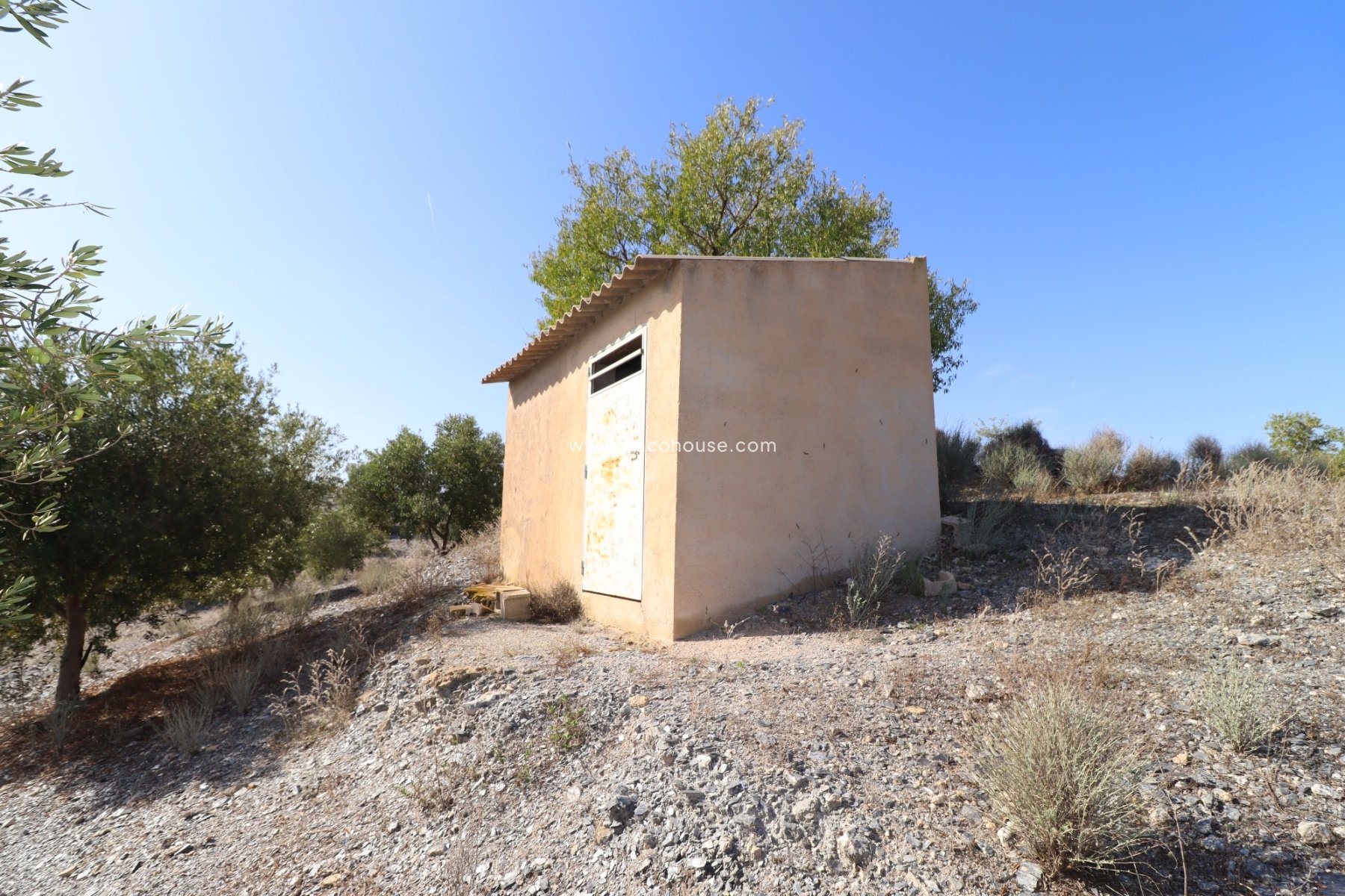 Resale - Country House -
Zarzalico