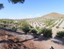 Resale - Country House -
Zarzalico