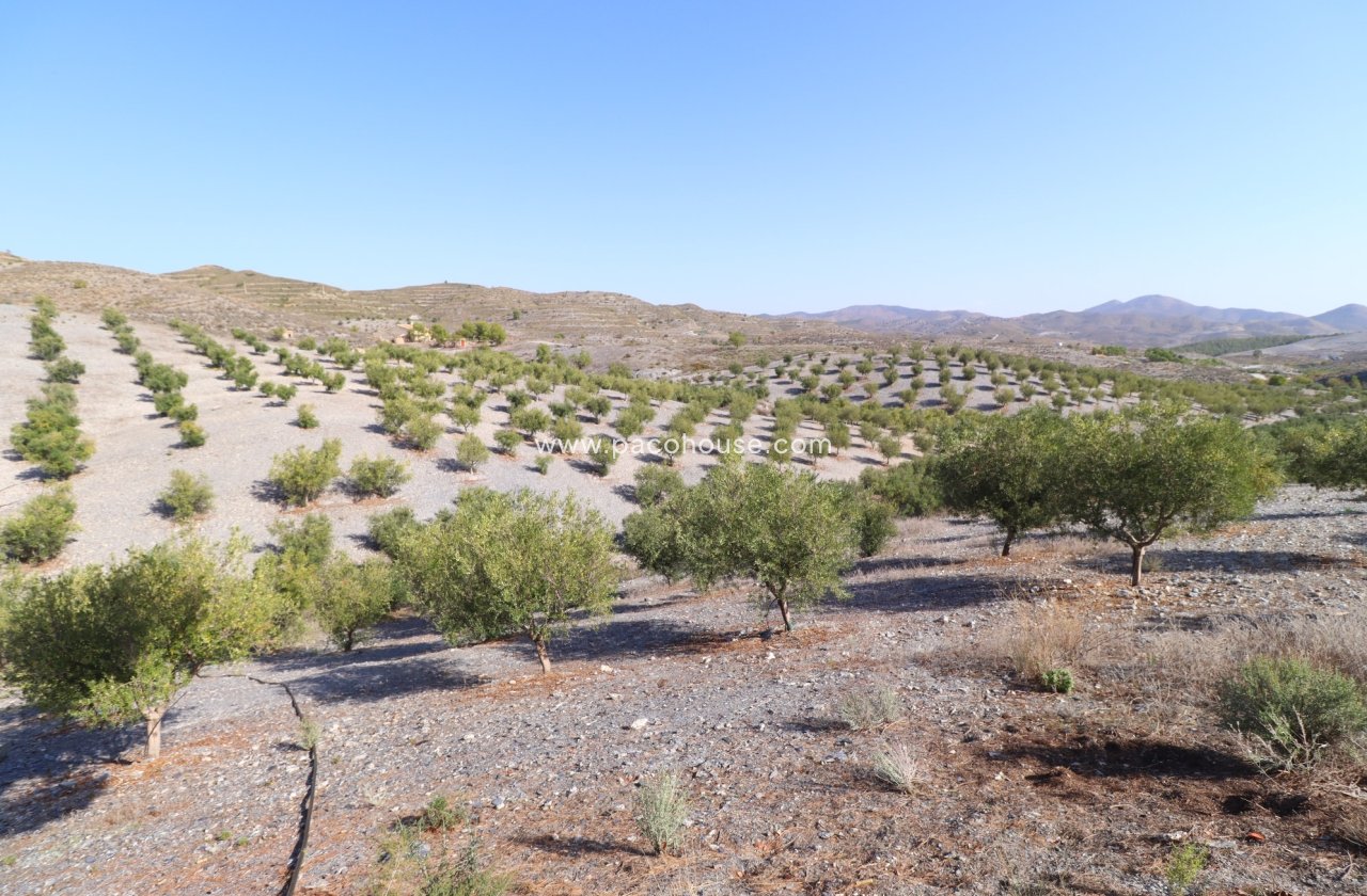 Resale - Country House -
Zarzalico