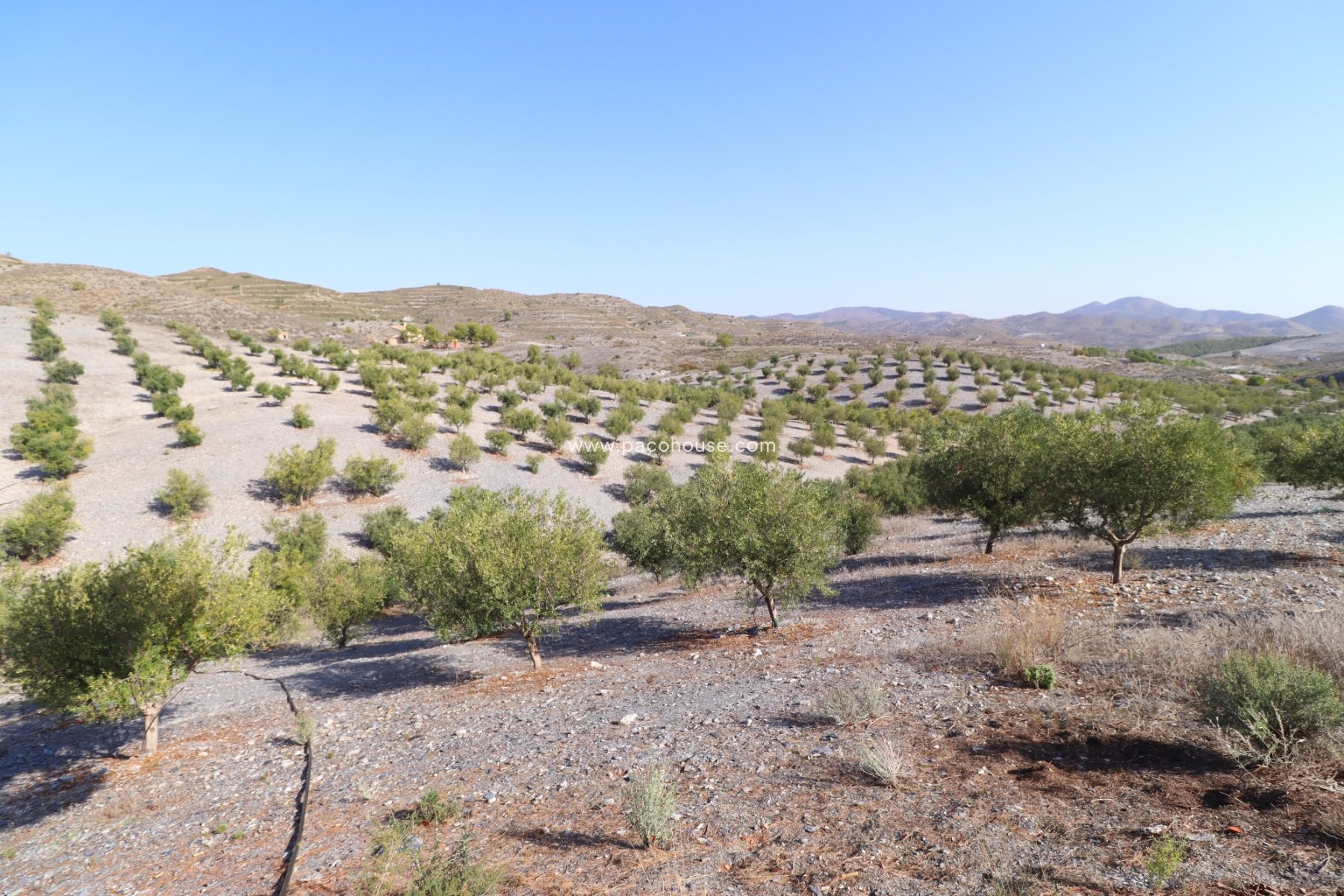 Resale - Country House -
Zarzalico