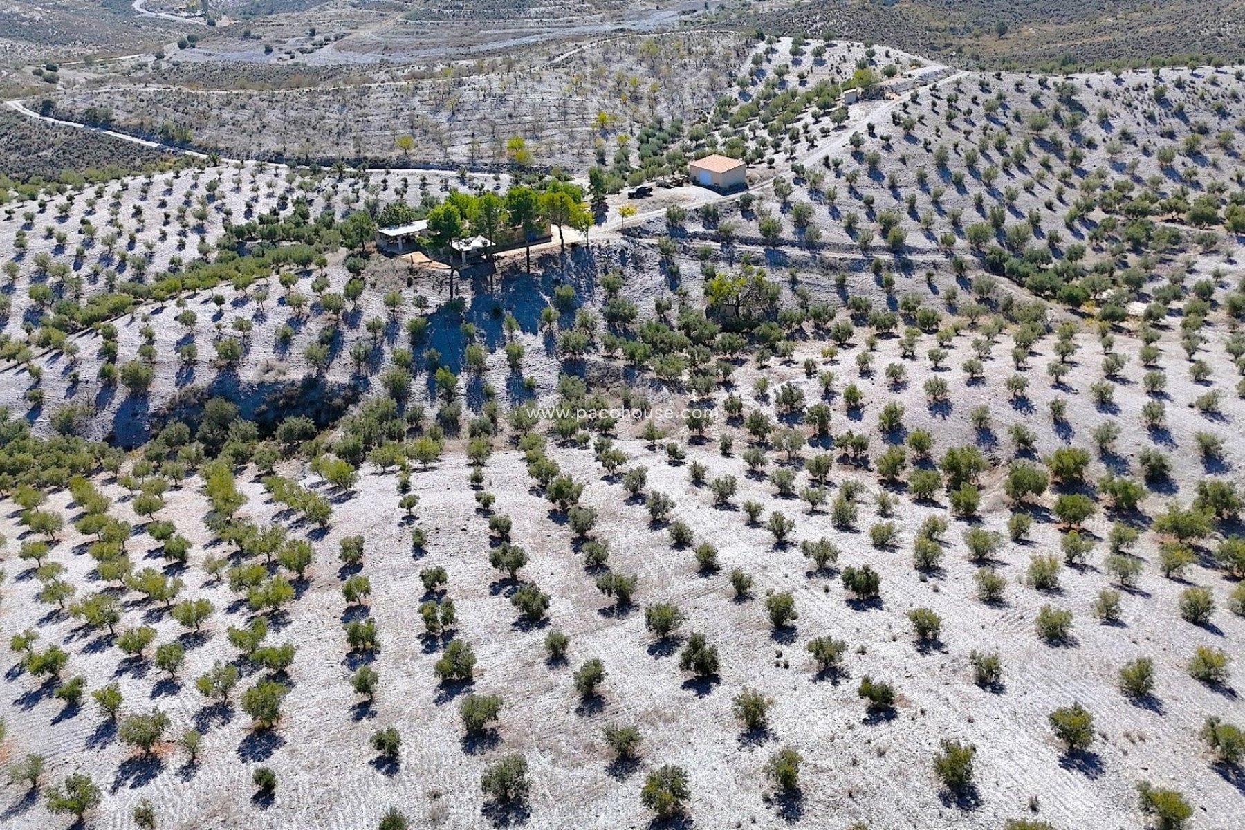 Resale - Country House -
Zarzalico