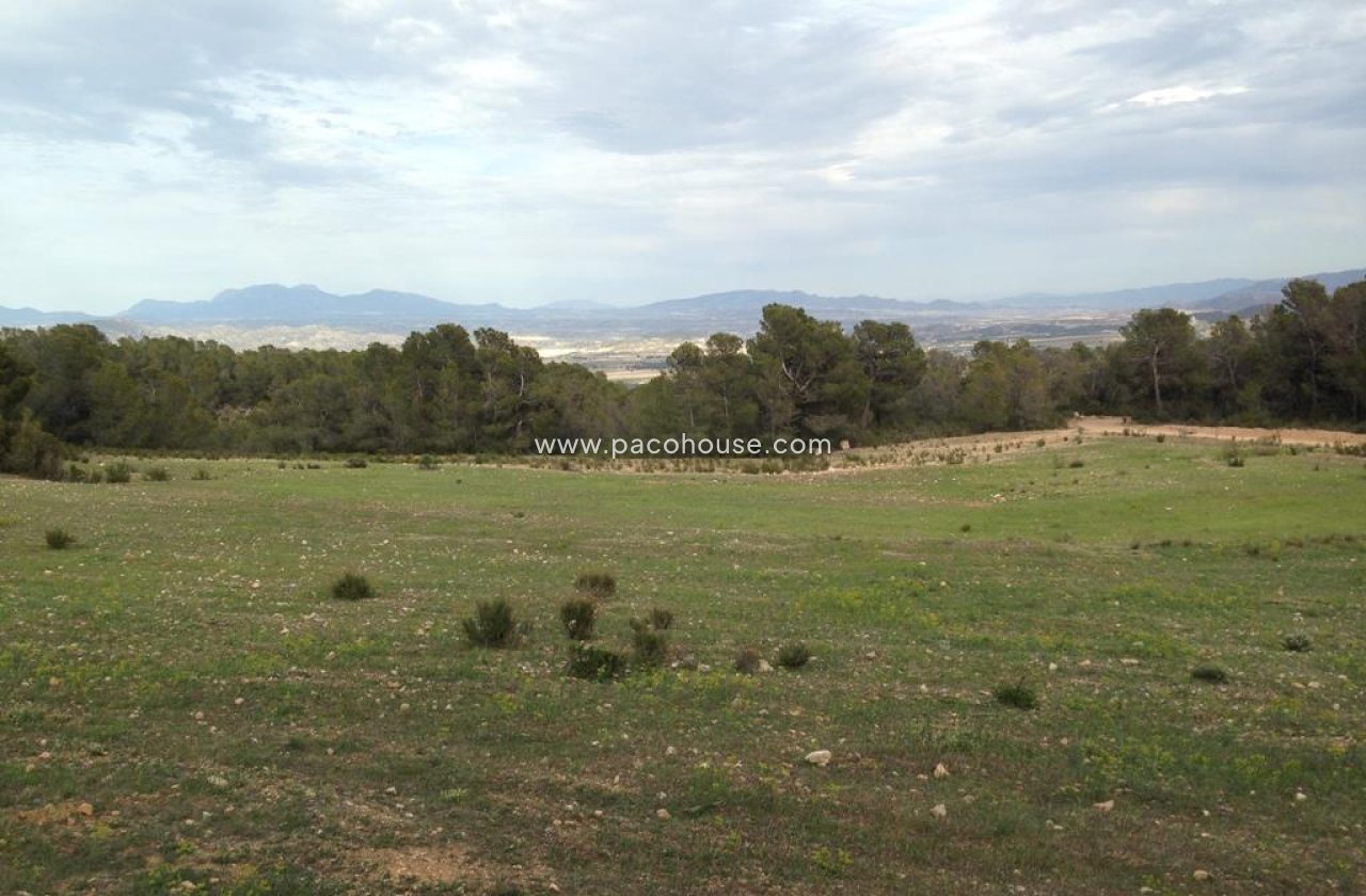 Resale - Plot / Land -
La Parroquia
