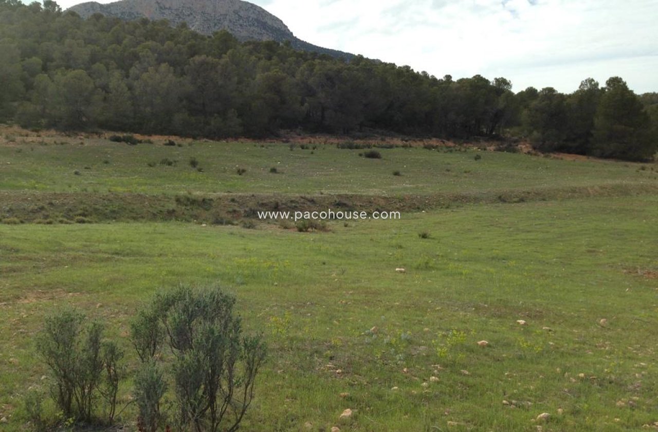 Resale - Plot / Land -
La Parroquia