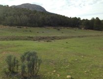 Resale - Plot / Land -
La Parroquia