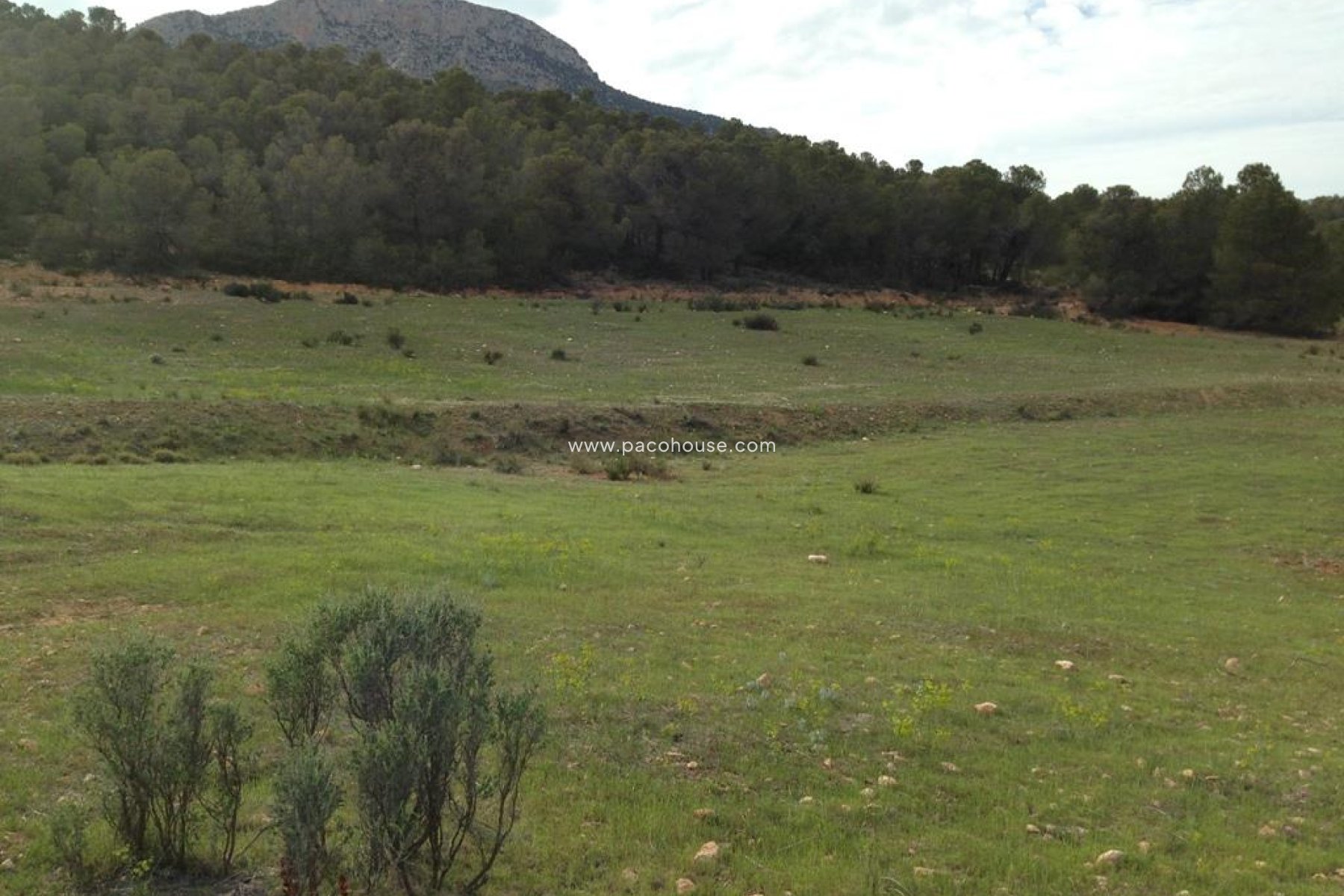 Resale - Plot / Land -
La Parroquia