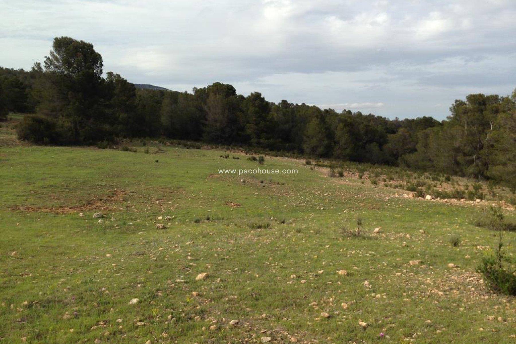 Resale - Plot / Land -
La Parroquia