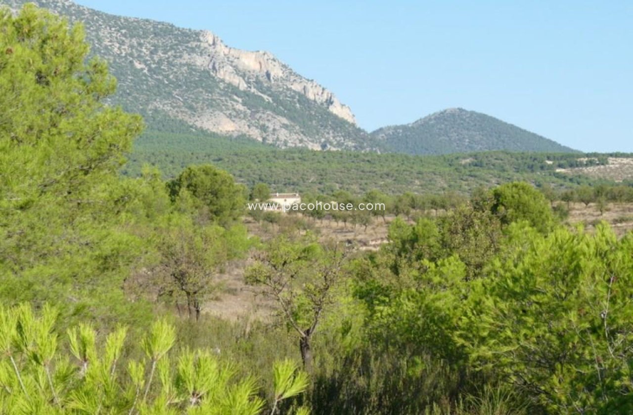 Resale - Plot / Land -
La Parroquia
