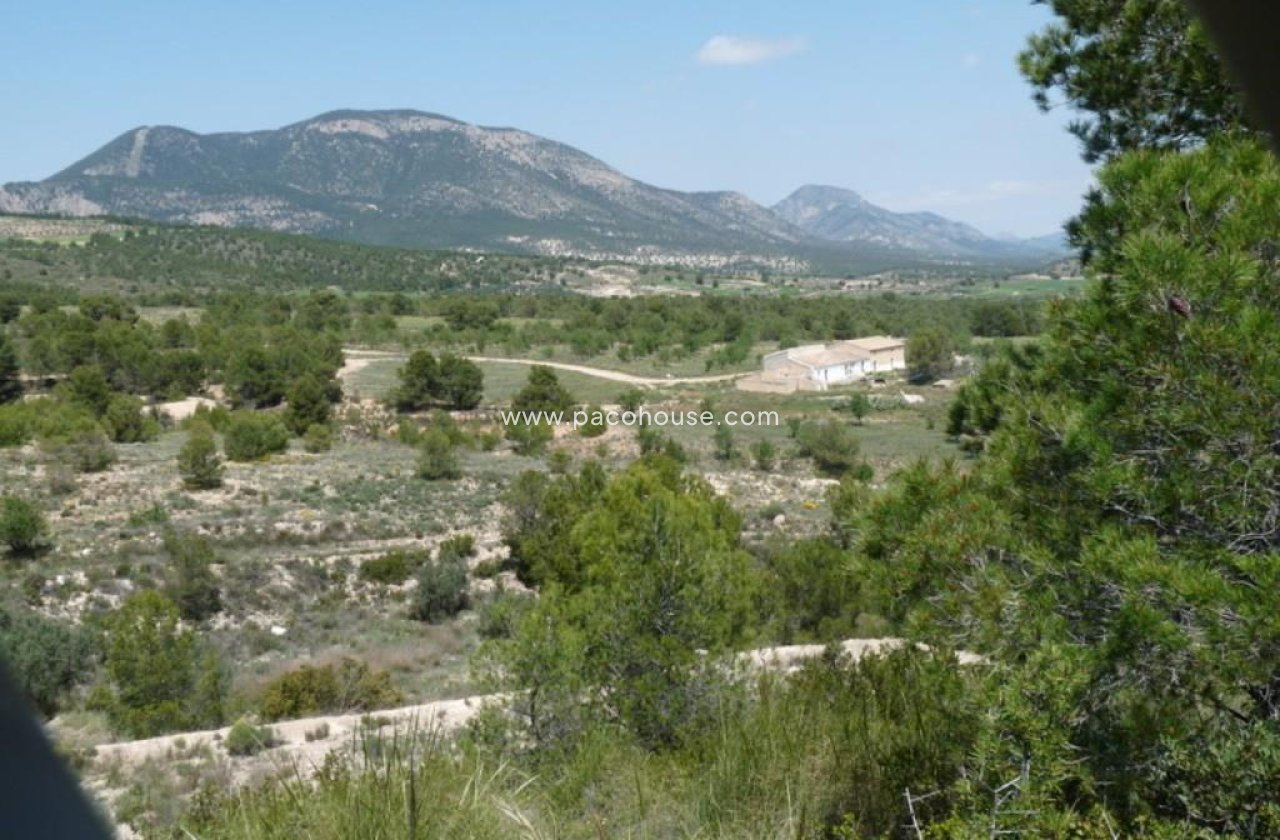 Resale - Plot / Land -
La Parroquia