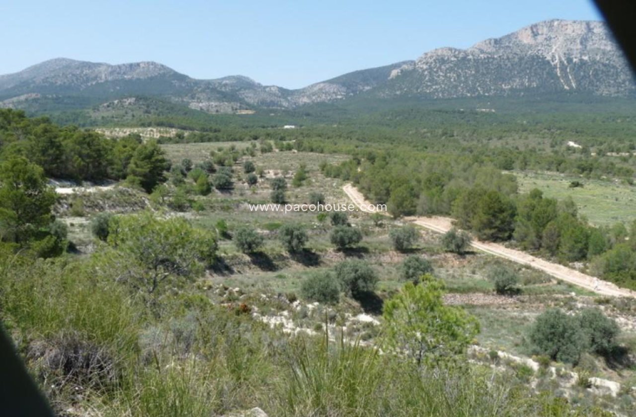 Resale - Plot / Land -
La Parroquia