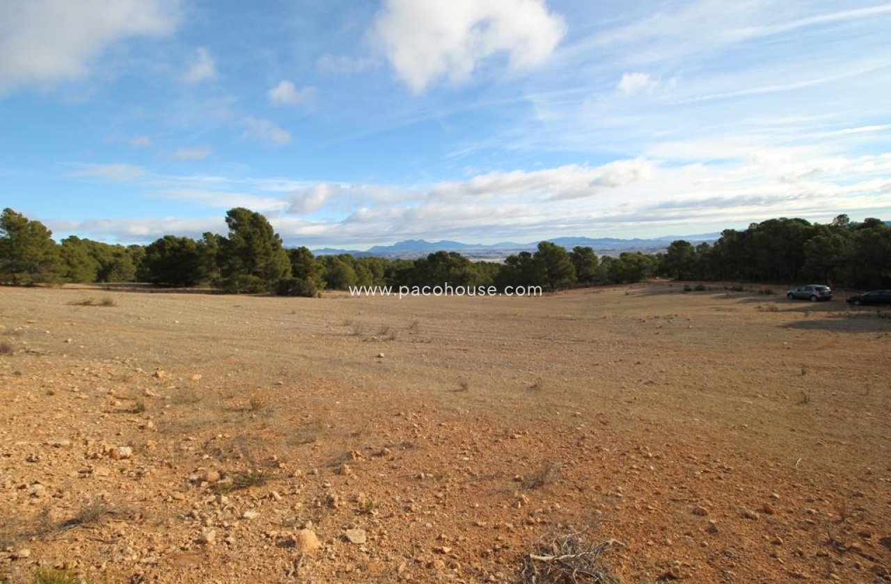 Resale - Plot / Land -
La Parroquia