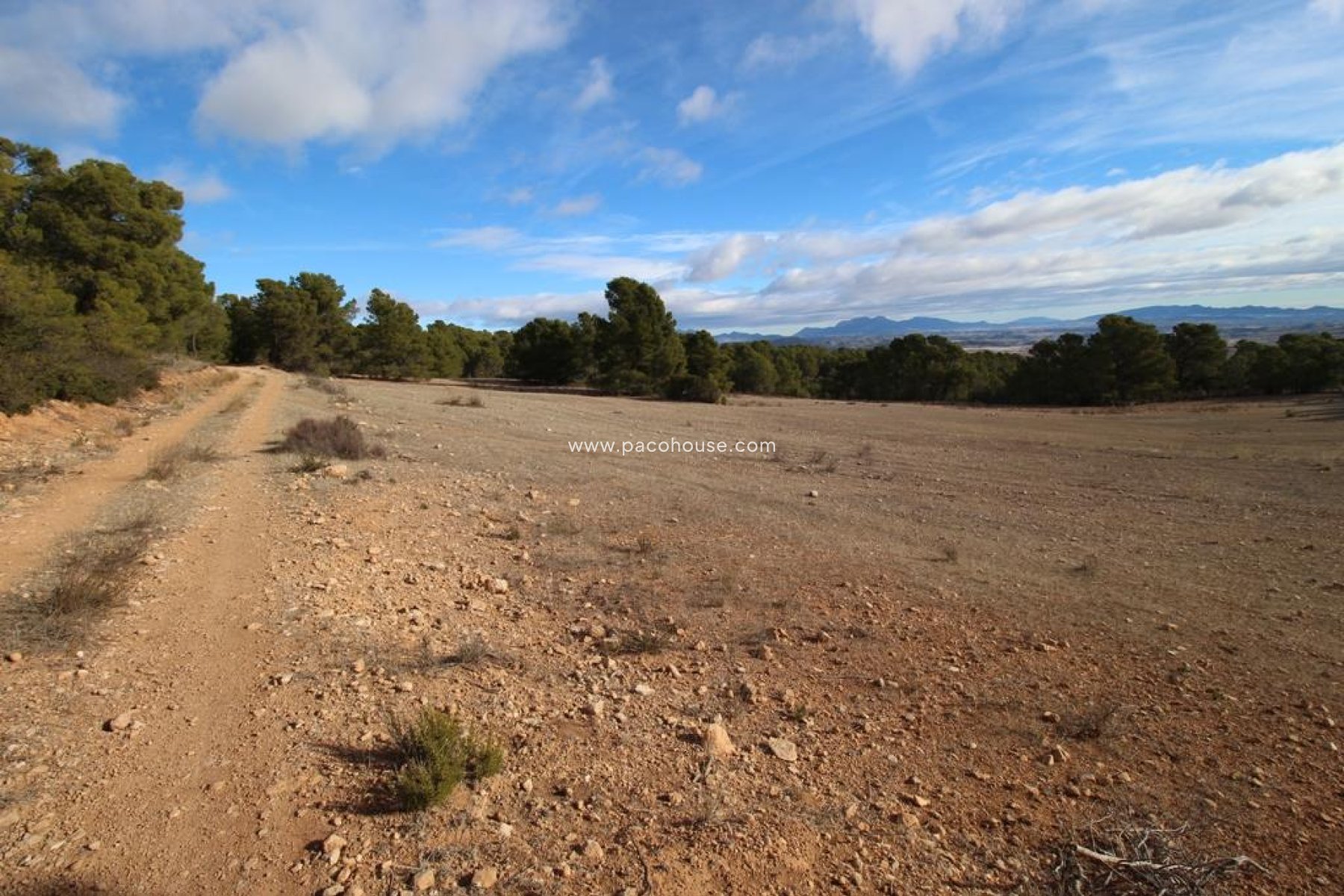 Resale - Plot / Land -
La Parroquia