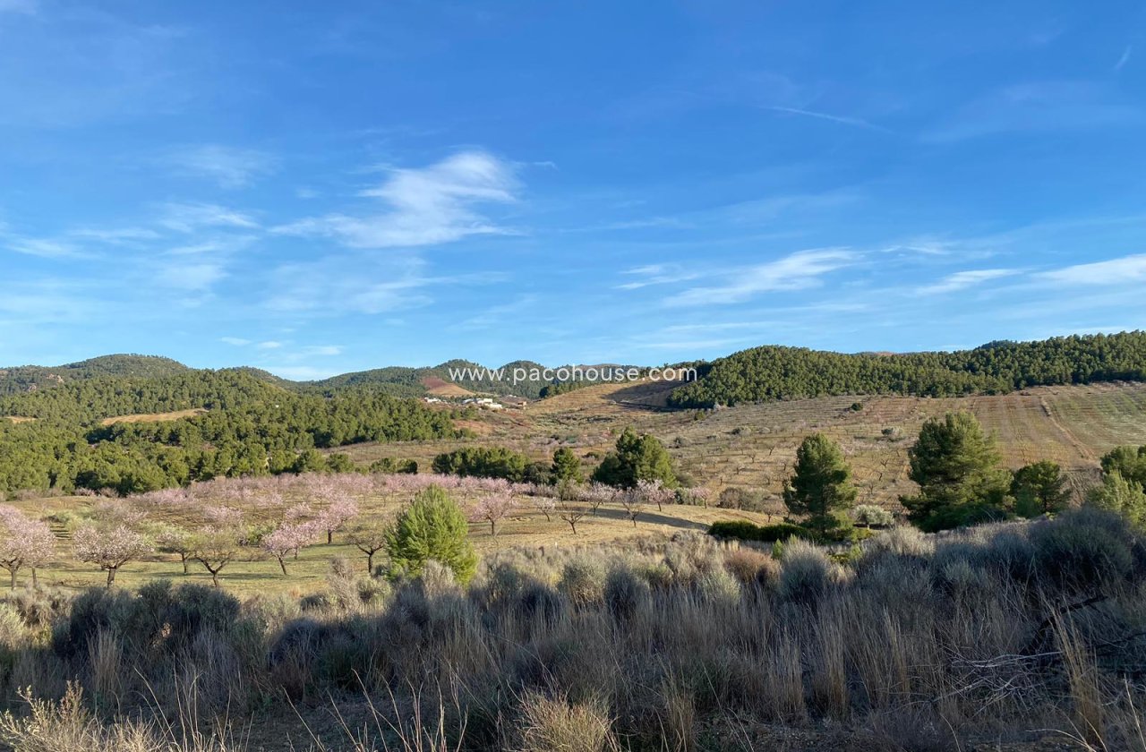 Resale - Plot / Land -
La Parroquia