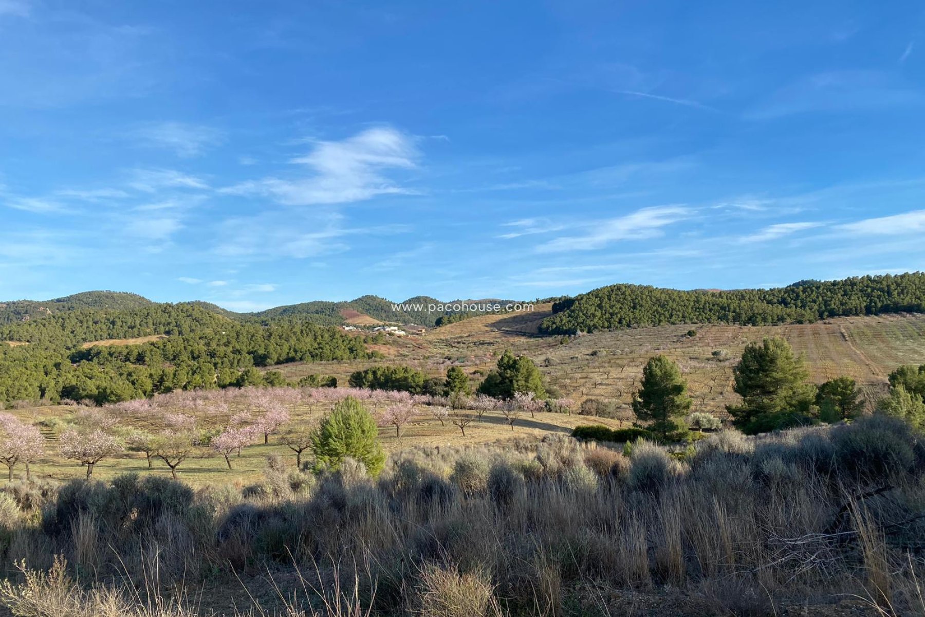 Resale - Plot / Land -
La Parroquia