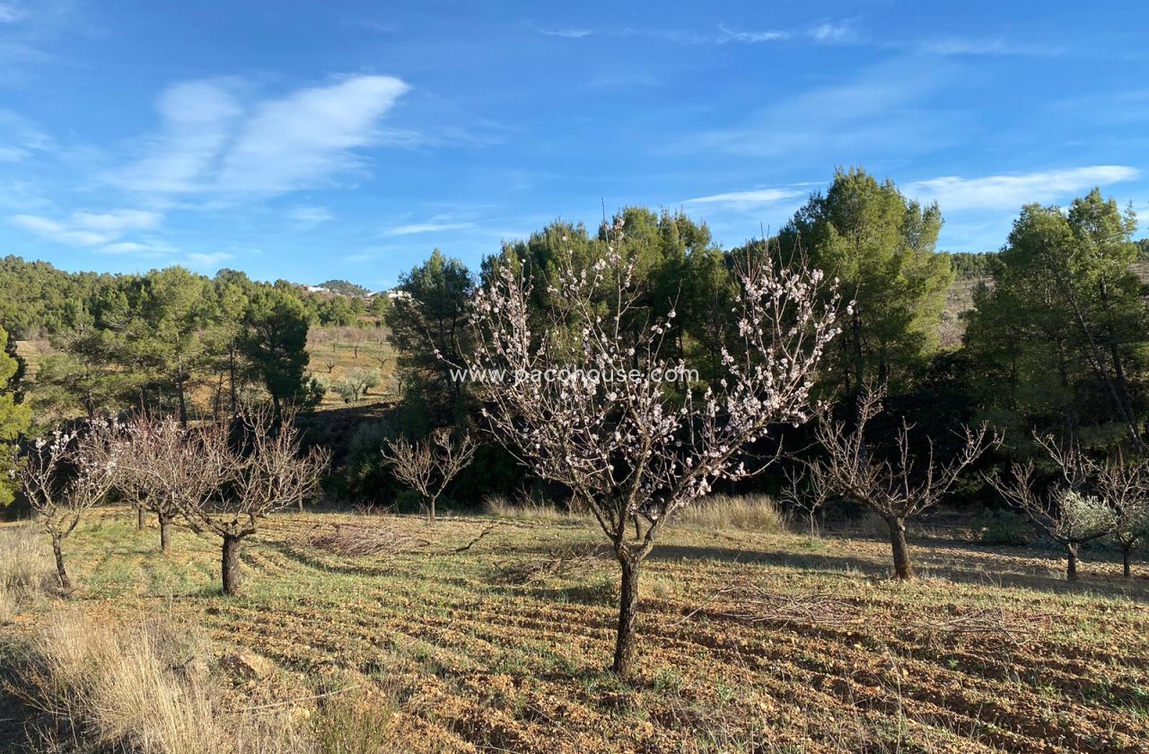 Resale - Plot / Land -
La Parroquia