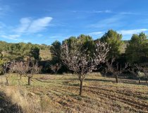 Resale - Plot / Land -
La Parroquia
