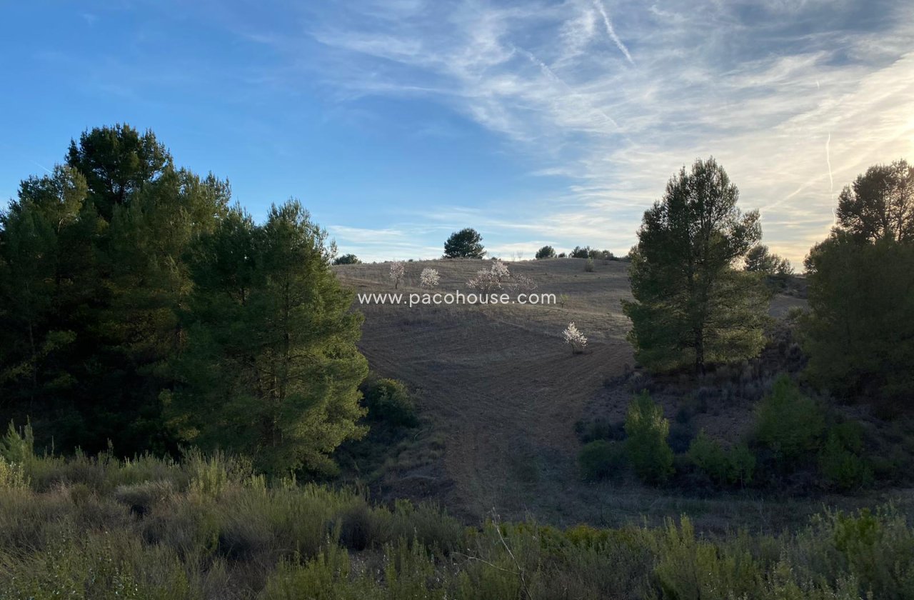 Resale - Plot / Land -
La Parroquia