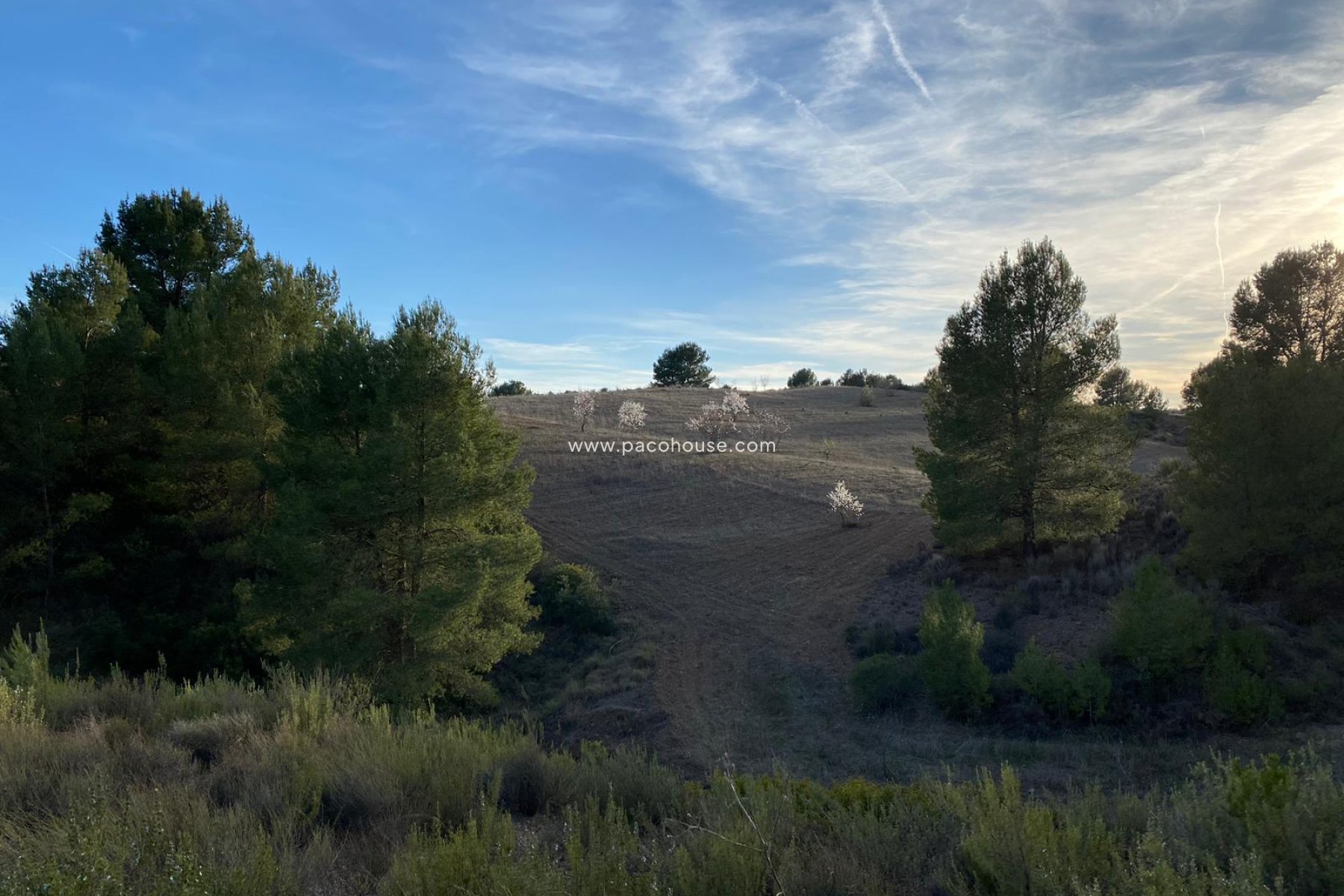 Resale - Plot / Land -
La Parroquia